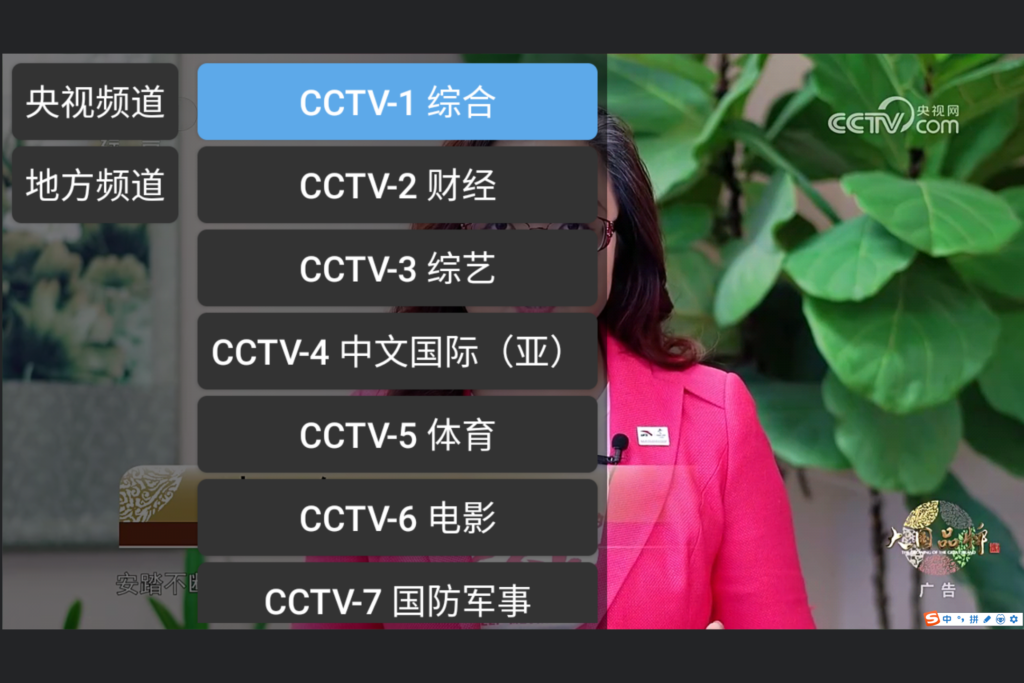 电视浏览器：CCTV-VIEWER